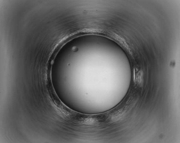 X0000101190204200806271324