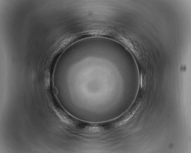 X0000101190205200806271324