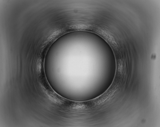 X0000101190206200806271324