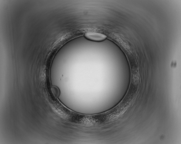 X0000101190207200806271324