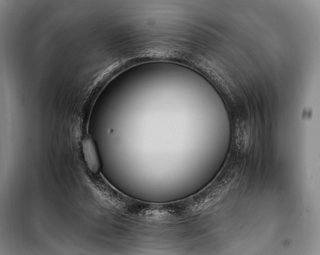 X0000101190208200806271324