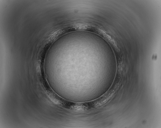 X0000101190209200806271324