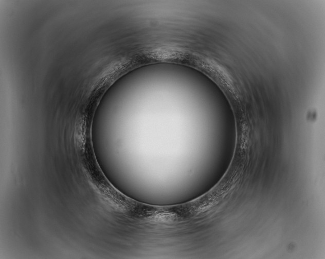 X0000101190210200806271324