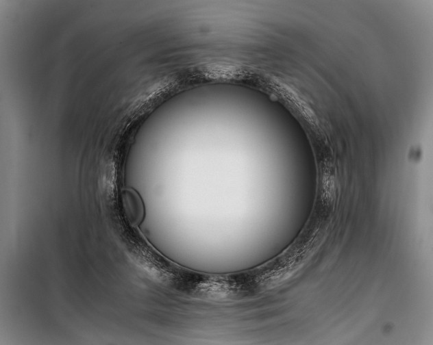 X0000101190211200806271324