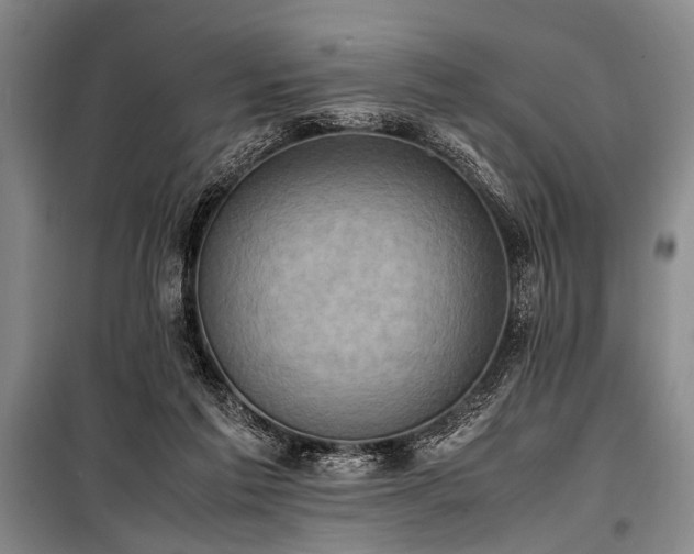 X0000101190213200806271324