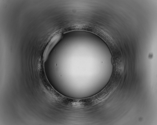 X0000101190216200806271324