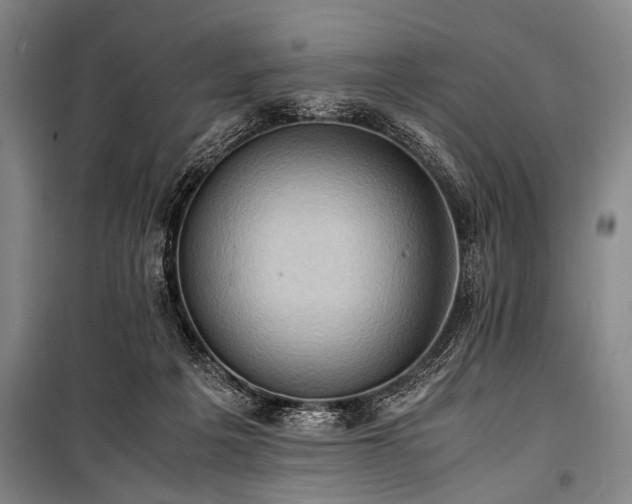 X0000101190217200806271324