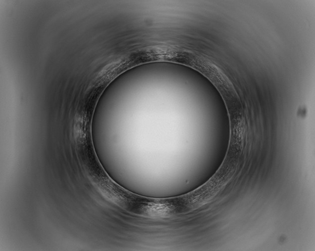 X0000101190218200806271324