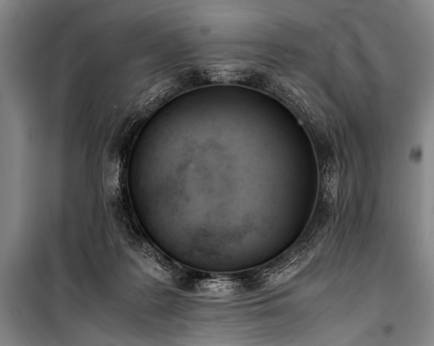 X0000101190219200806271324