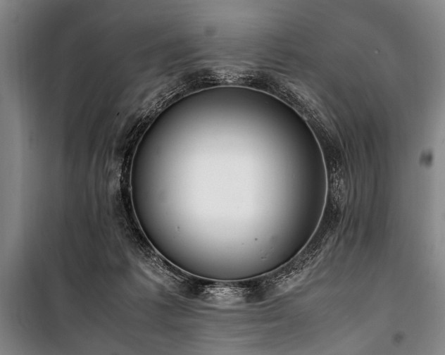 X0000101190221200806271324