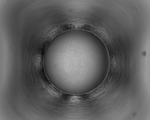 X0000101190222200806271324