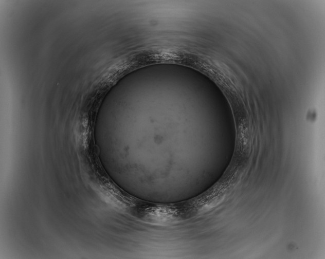 X0000101190223200806271324