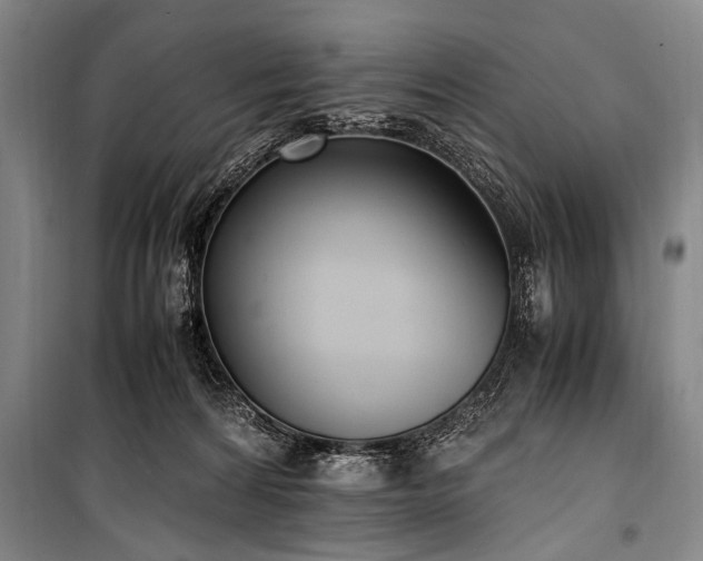X0000101190224200806271324