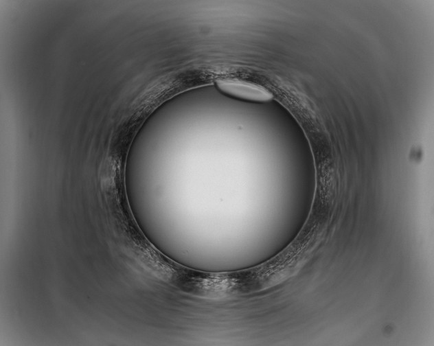 X0000101190225200806271324