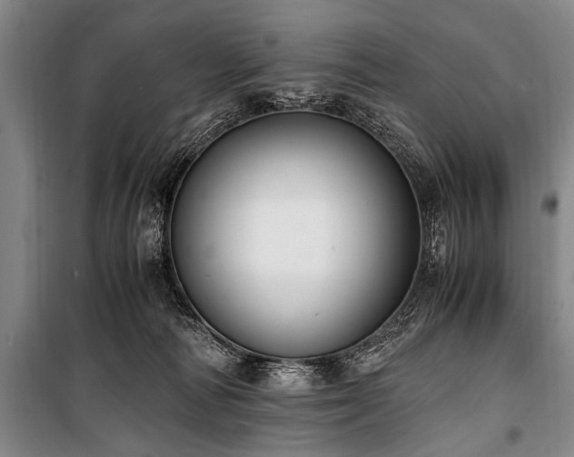 X0000101190226200806271324