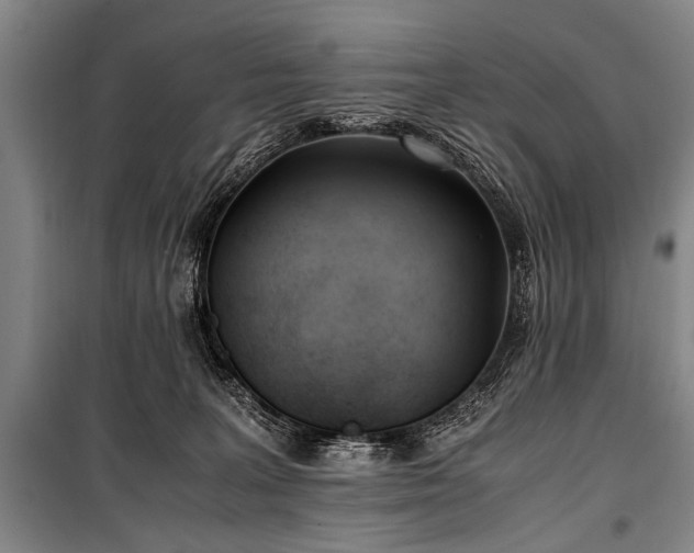 X0000101190227200806271324