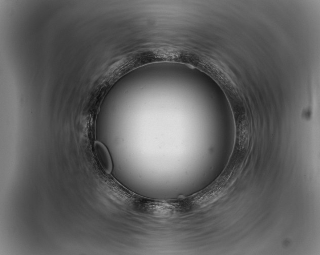 X0000101190229200806271324