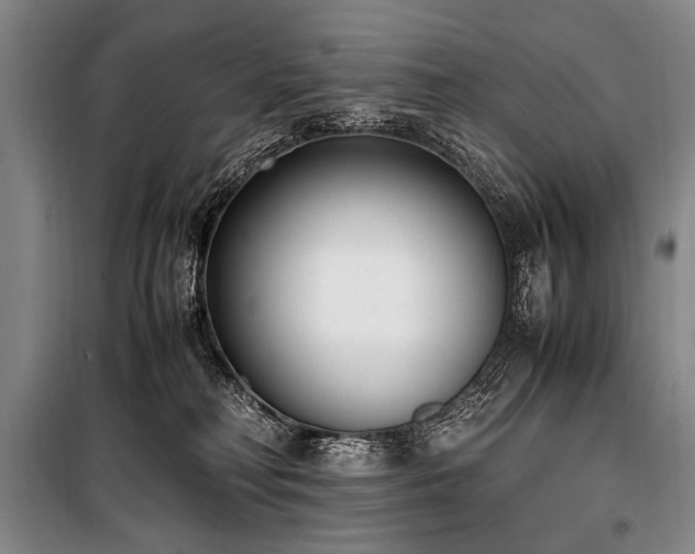 X0000101190230200806271324