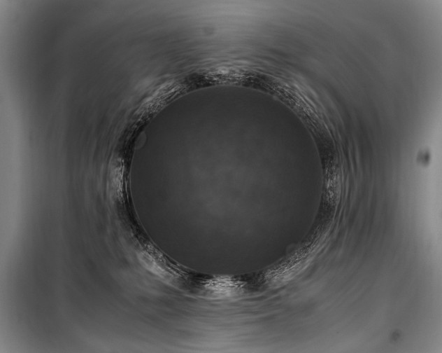 X0000101190231200806271324