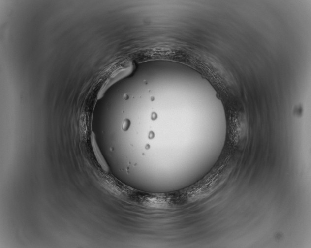 X0000101190232200806271324