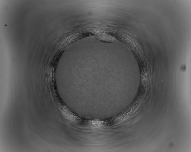 X0000101190233200806271324