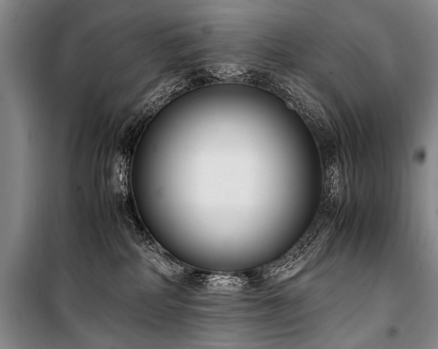 X0000101190234200806271324