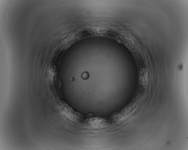 X0000101190235200806271324