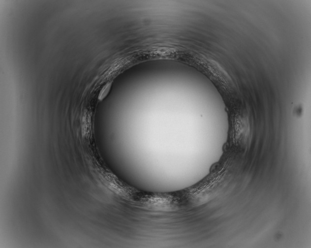 X0000101190236200806271324