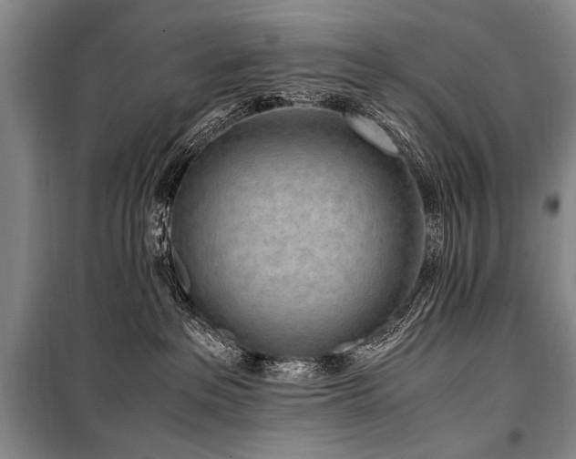 X0000101190237200806271323