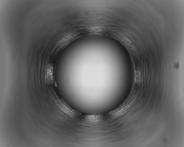 X0000101190238200806271323