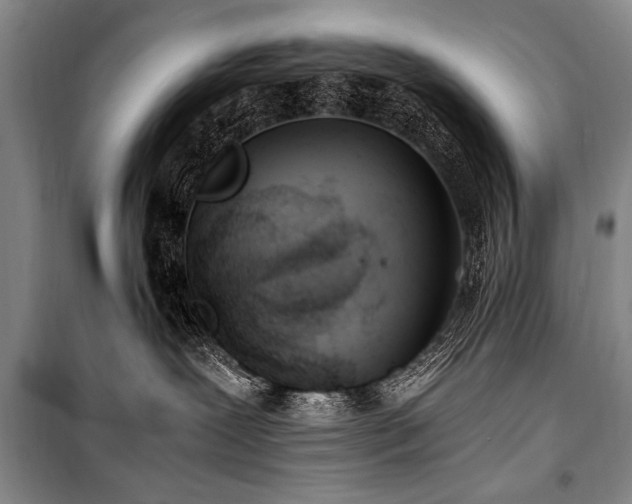 X0000101190239200806271323