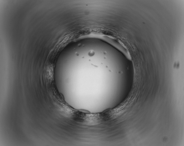 X0000101190240200806271323