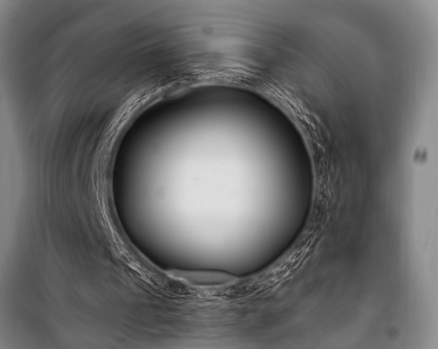 X0000101190241200806271323