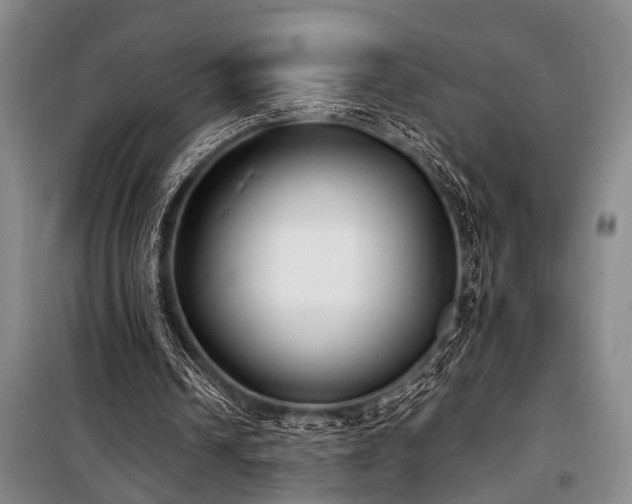 X0000101190242200806271323