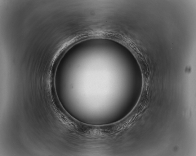 X0000101190244200806271323