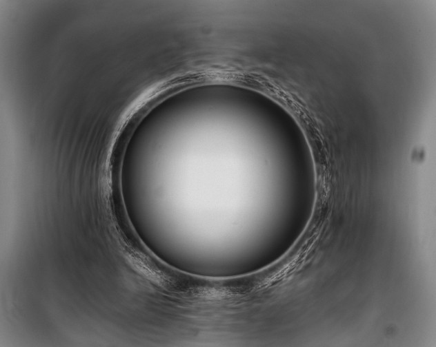 X0000101190246200806271323
