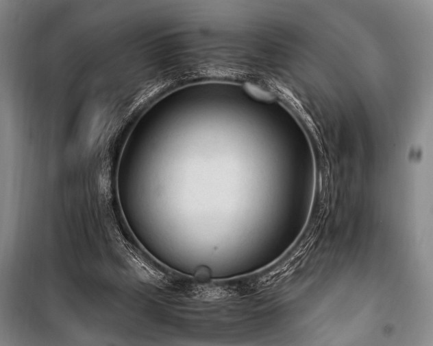X0000101190249200806271323