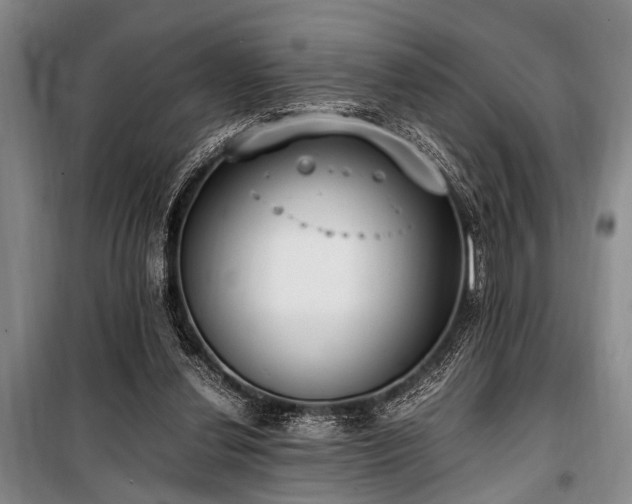 X0000101190252200806271323