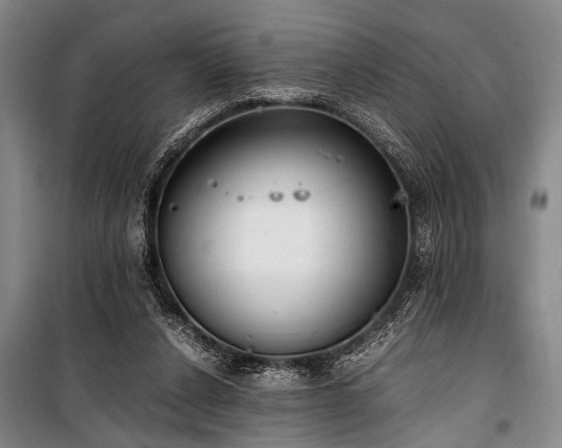 X0000101190256200806271323