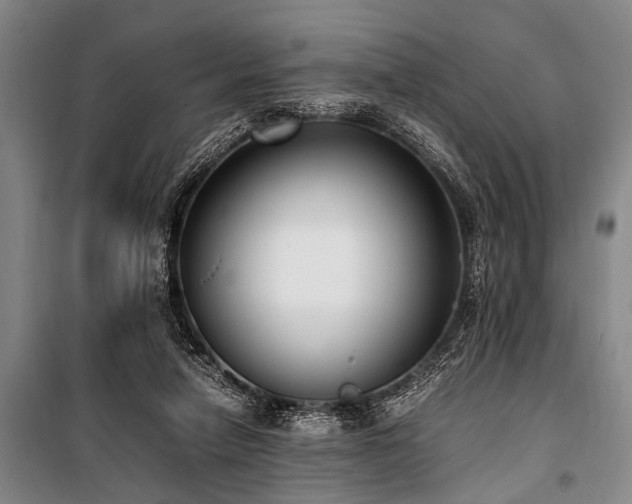 X0000101190258200806271323