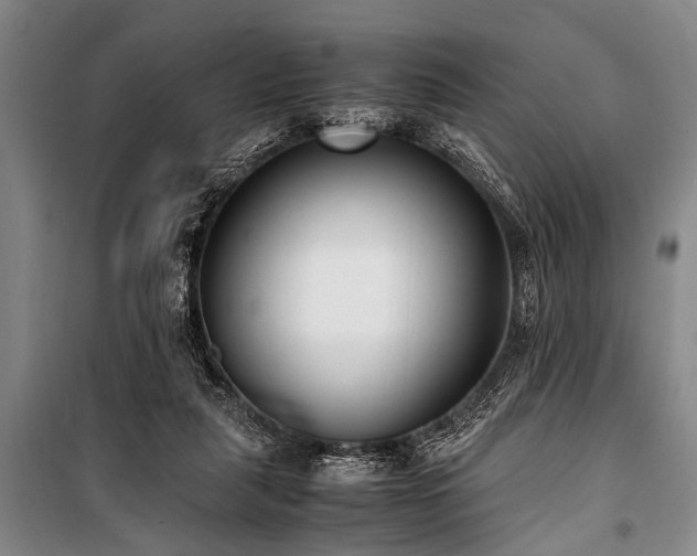 X0000101190259200806271323