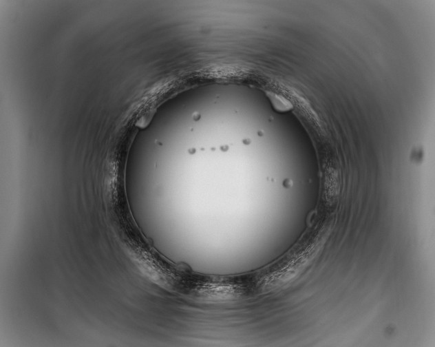 X0000101190260200806271323