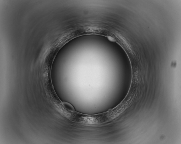 X0000101190265200806271323