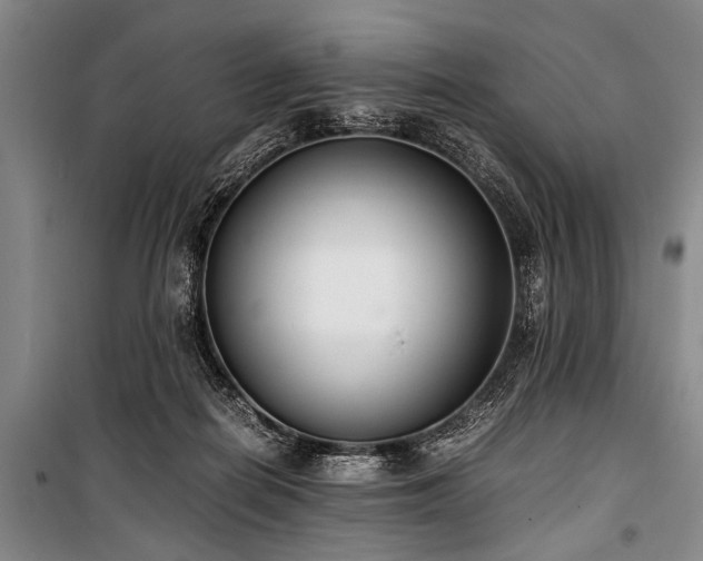 X0000101190266200806271323
