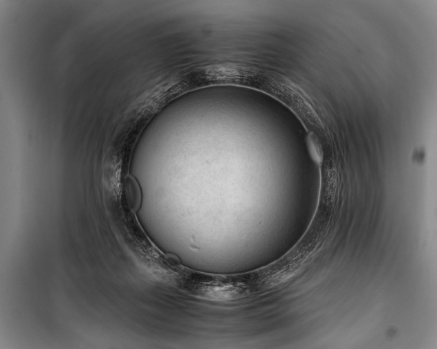 X0000101190267200806271323