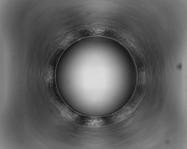 X0000101190274200806271323