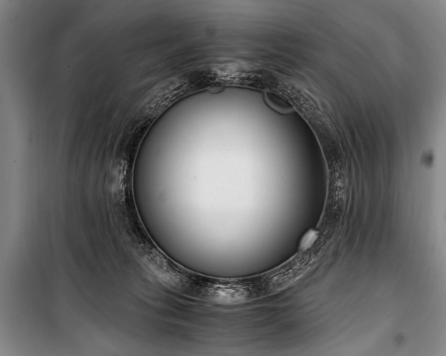 X0000101190275200806271323