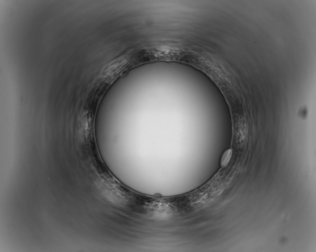 X0000101190276200806271323