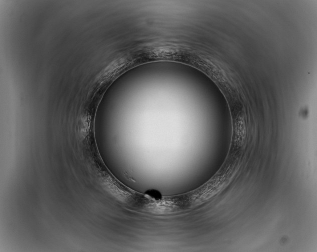 X0000101190278200806271323