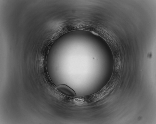 X0000101190279200806271323